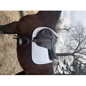 selle forestier