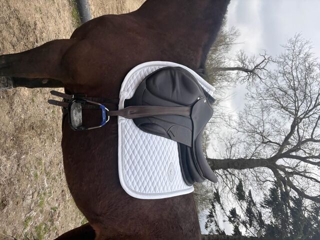 selle forestier