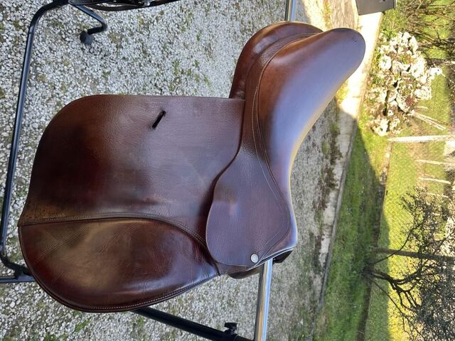 Selle Forestier Coursay