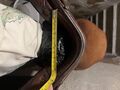 Selle Forestier Coursay