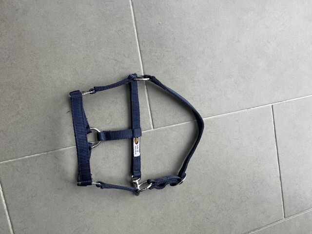 licol bleu marine