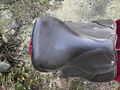 selle privilège équitation