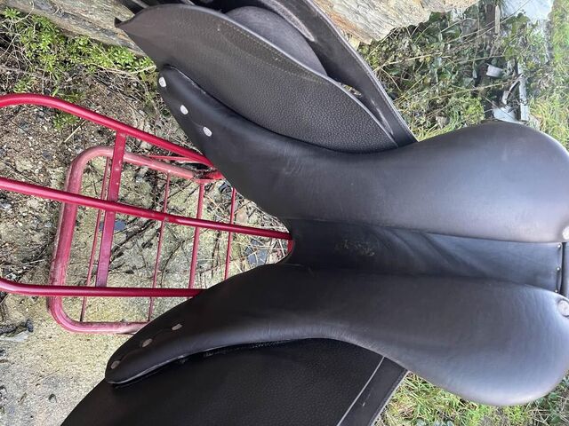 selle privilège équitation