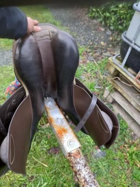 Selle stubben phoenix elite