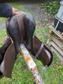 Selle stubben phoenix elite