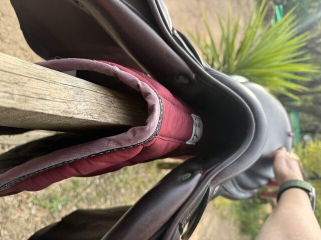 Selle Equipe