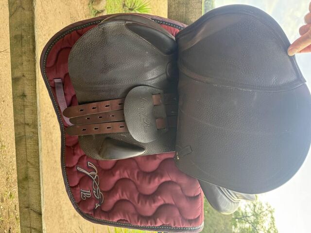 Selle Equipe