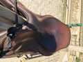 Selle GBS 17,5