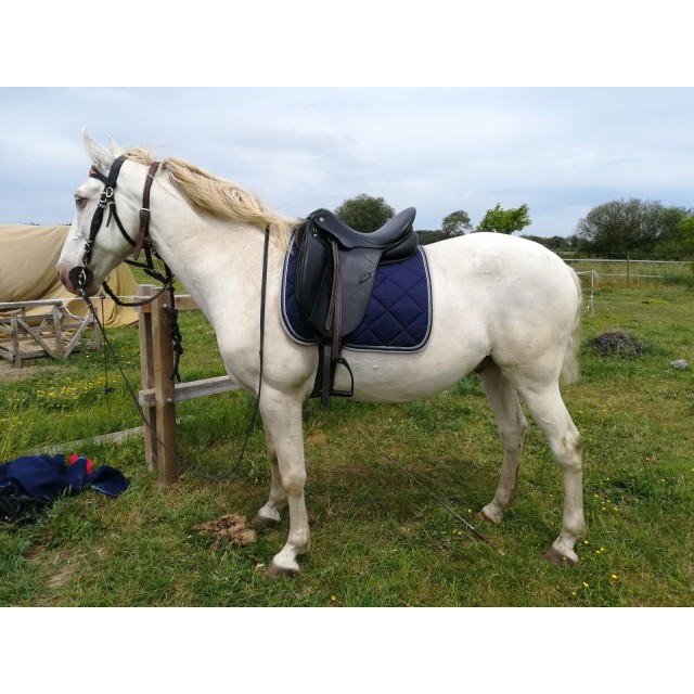 Selle dressage Stubben Philippe Fontaine