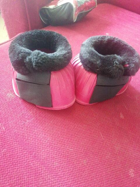 Cloche
