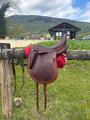 Selle de dressage marron CWD neuve