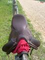 Selle de dressage marron CWD neuve