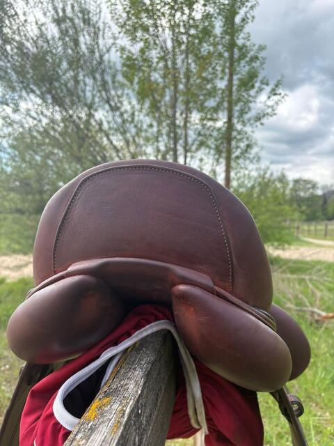 Selle de dressage marron CWD neuve