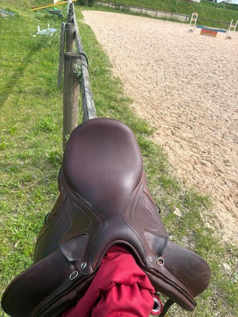 Selle de dressage marron CWD neuve