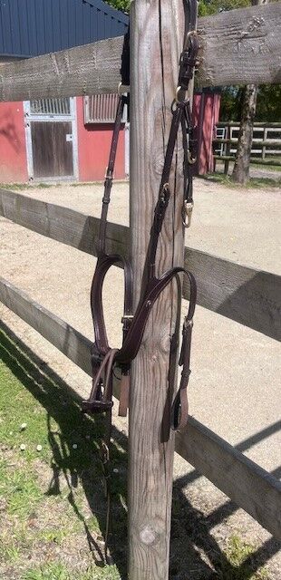 Collier de chasse DYON anatomique