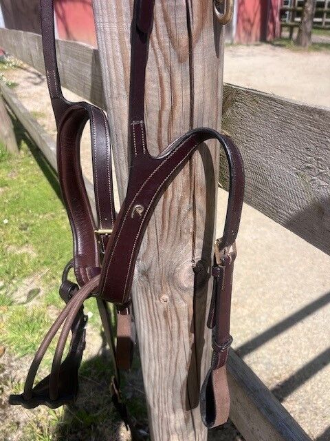 Collier de chasse DYON anatomique