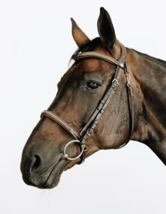 Filet équitation cuir muserolle française surpiqué - FOUGANZA