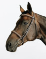 Filet équitation cuir muserolle française surpiqué - FOUGANZA