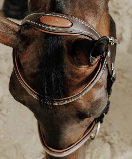 Filet équitation cuir muserolle française surpiqué - FOUGANZA