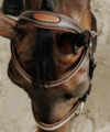 Filet équitation cuir muserolle française surpiqué - FOUGANZA