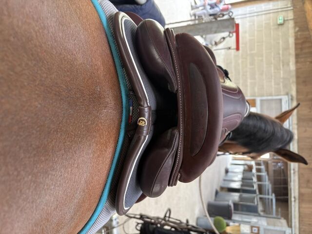 Selle devoucoux chiberta lab
