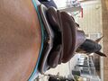Selle devoucoux chiberta lab