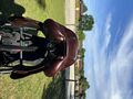 Selle CWD