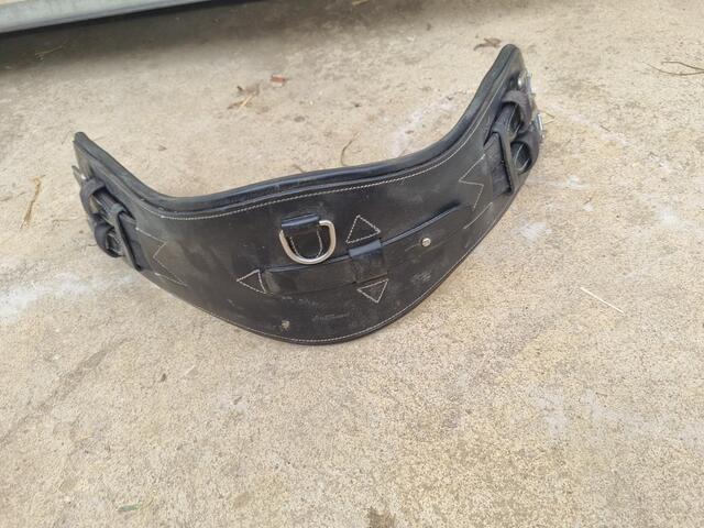 Selle dressage Isabelle Werth