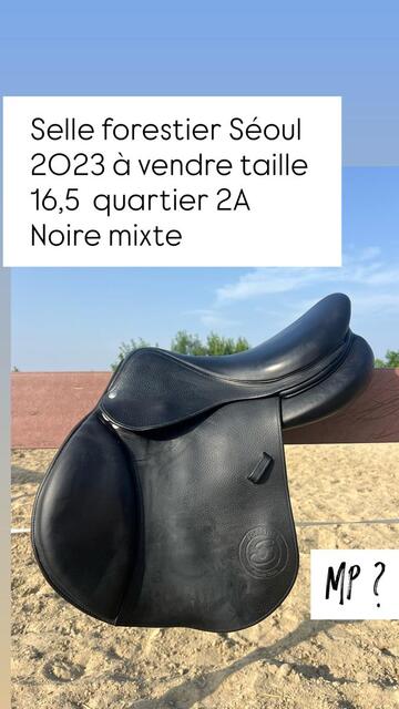Rare selle mixte Forestier noire 16.5 2A