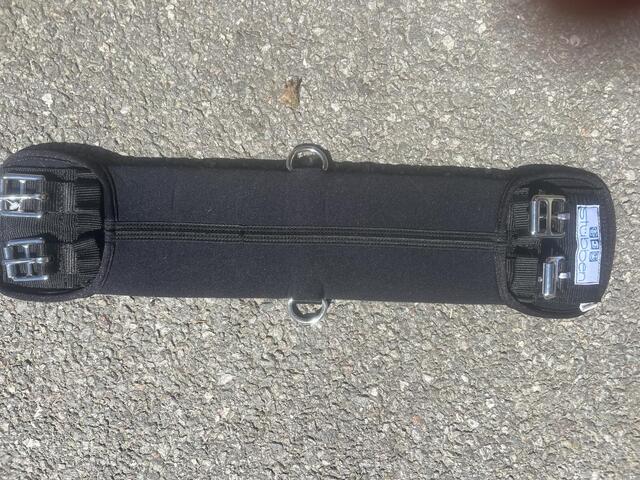 SANGLE DE DRESSAGE COURTE