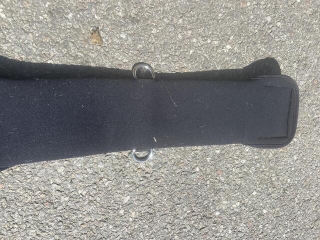SANGLE DE DRESSAGE COURTE