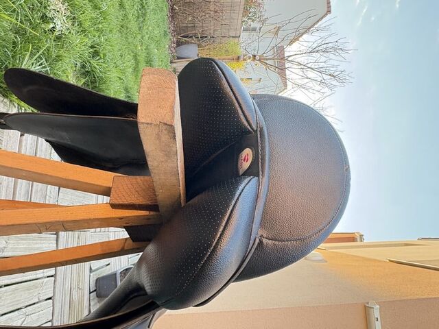 selle wintec à vendre