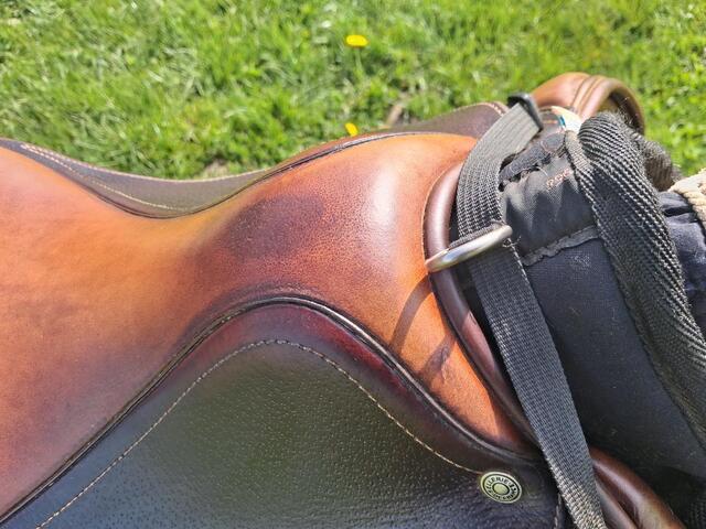 Selle Antares
