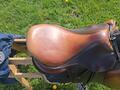 Selle Antares
