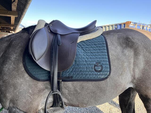 Selle TdeT