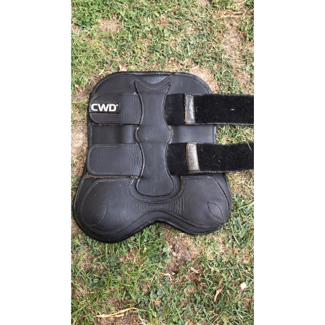 Protections CWD