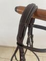 Bridon Chetak marron Cob