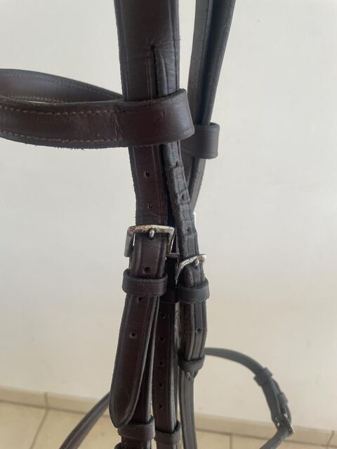 Filet Marron taille Cob