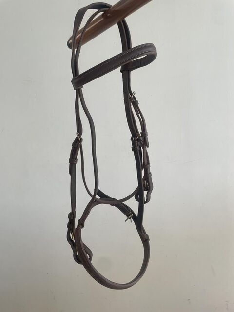 Filet cuir marron taille Cob