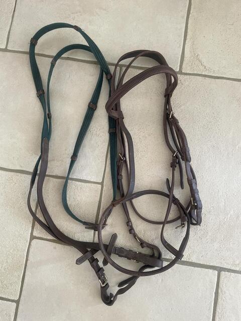 Filet cuir marron taille Cob