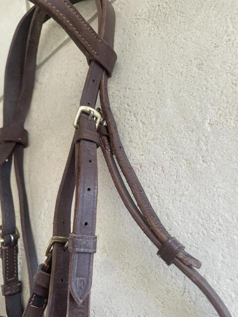 Filet cuir marron taille Cob