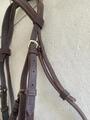 Filet cuir marron taille Cob
