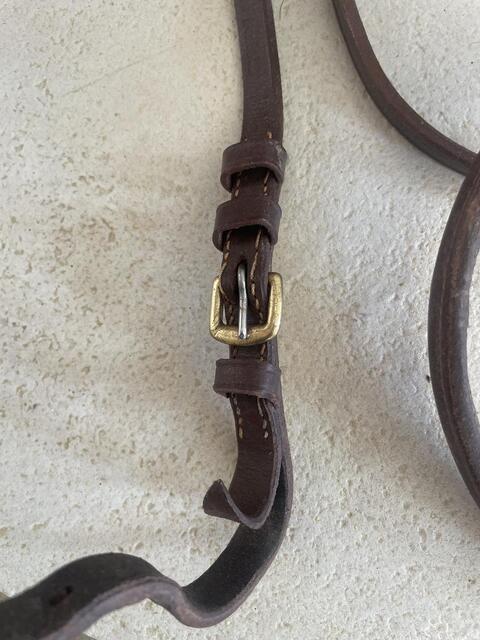 Filet cuir marron taille Cob