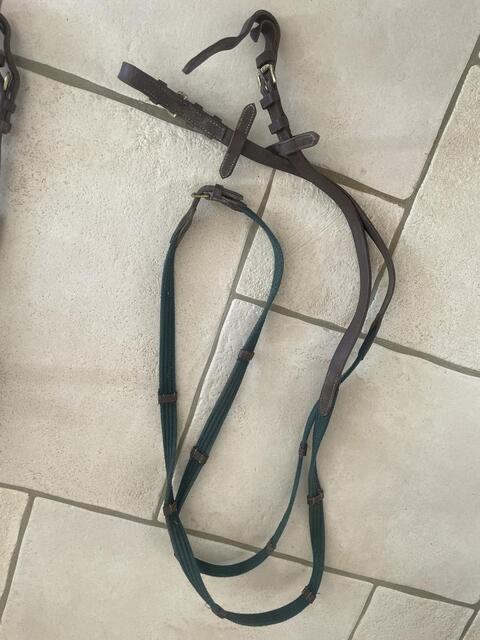 Filet cuir marron taille Cob