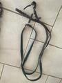 Filet cuir marron taille Cob