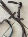 Filet cuir marron taille Cob