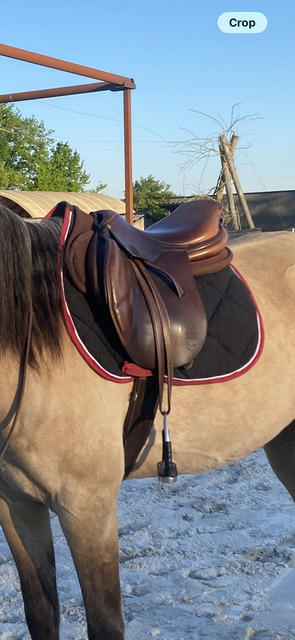 tapis cheval noir et rouge