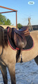 tapis cheval noir et rouge