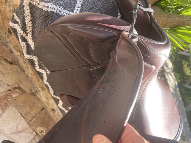 Selle cwd 2GS kid