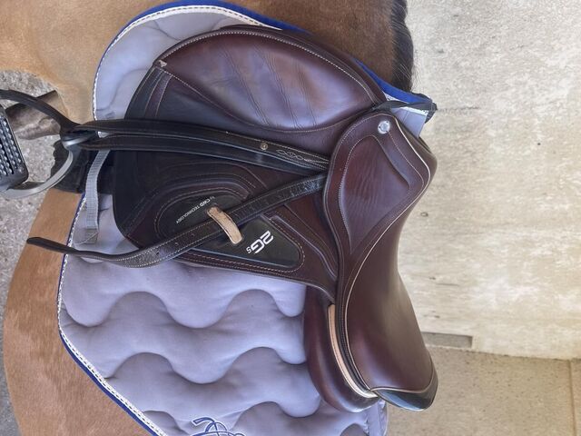Selle cwd 2GS kid